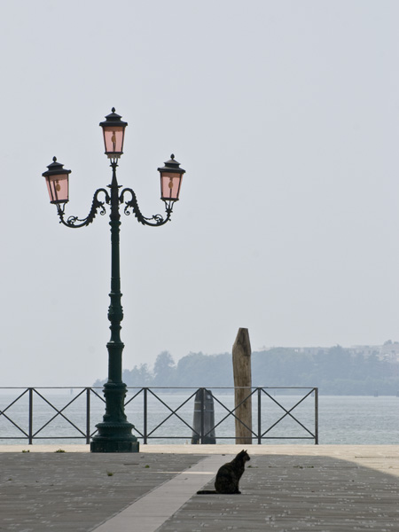 Giudecca nascosta 06b.jpg