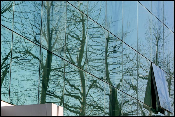 glasstree_RT8.jpg