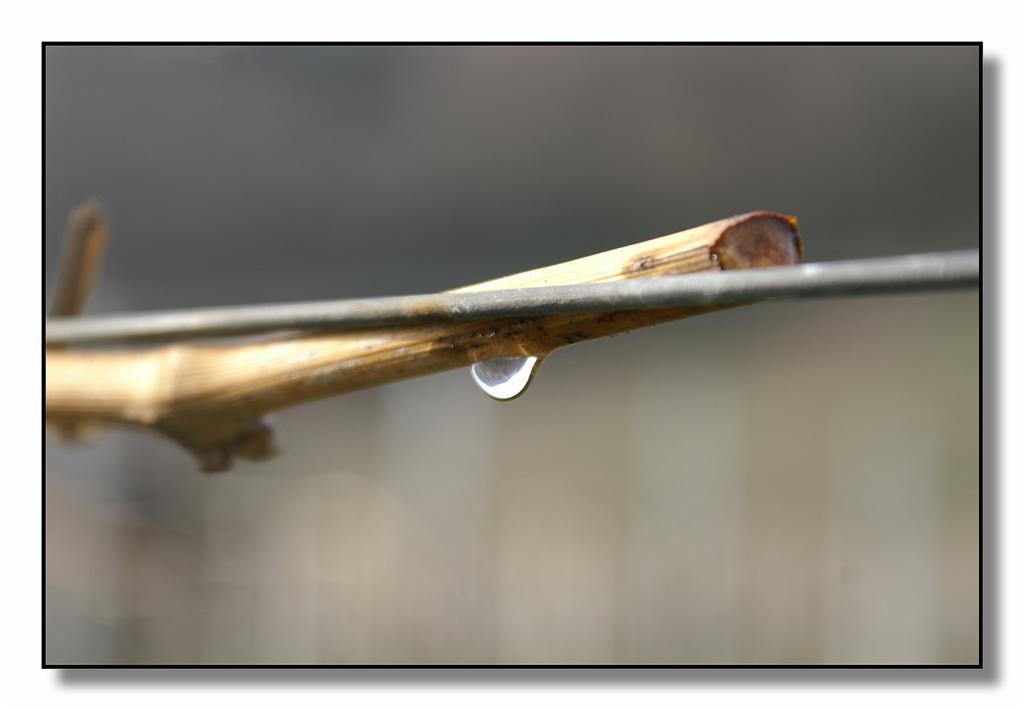 goccia04 (Large).jpg