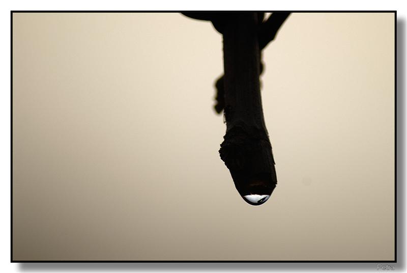 goccia2 (Medium).jpg