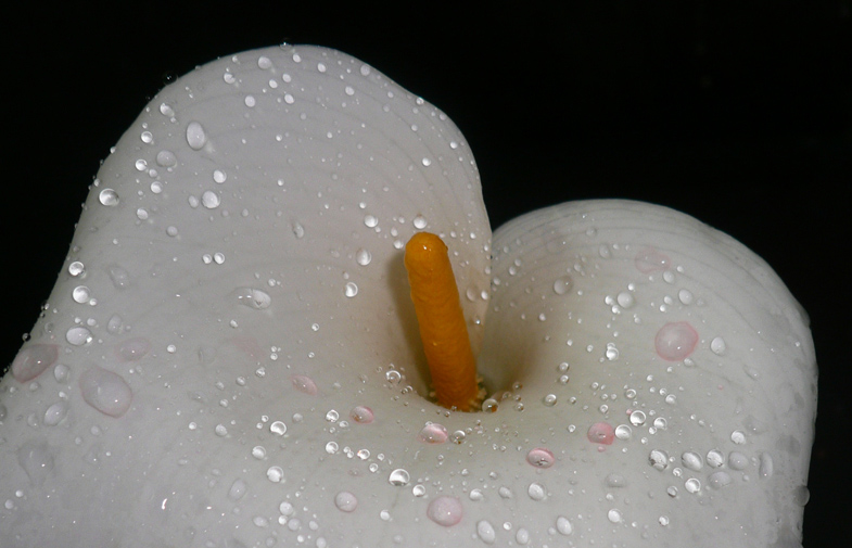 goccie di colore.jpg