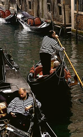 gond_3 (Small).jpg