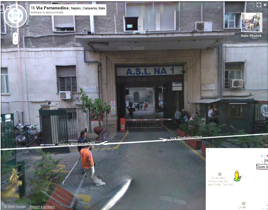 Google-Pellegrini.jpg