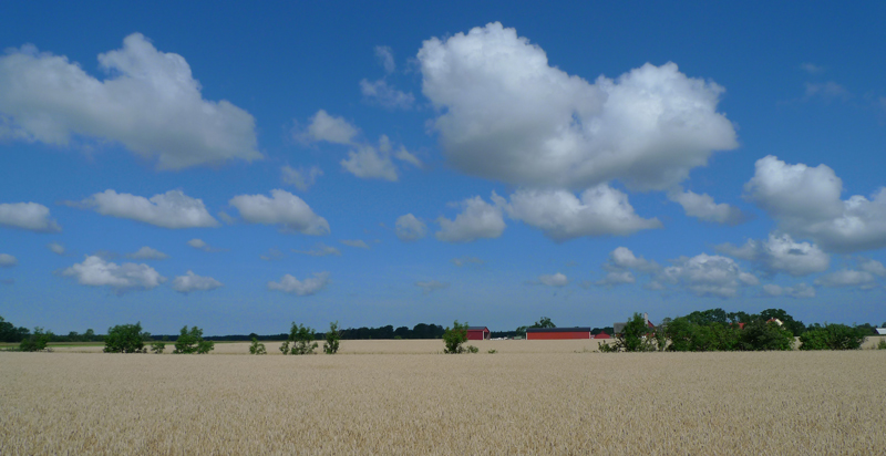 Gotland-Svezia-2009-(51)-mo.jpg