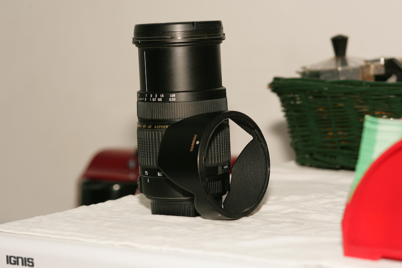 GP4R1496.jpg