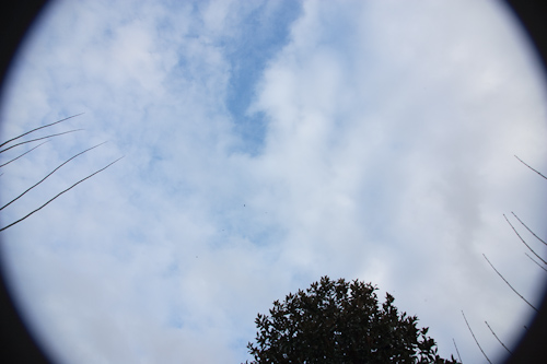 GP4R3782.jpg