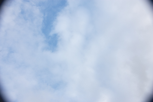 GP4R3783.jpg
