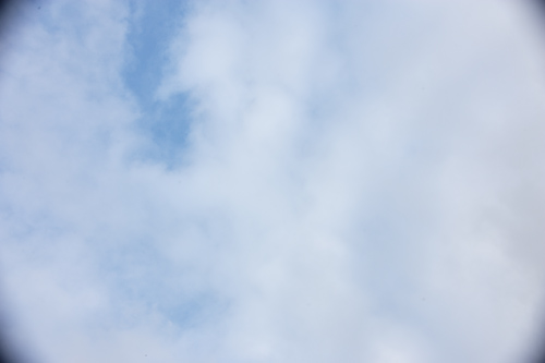 GP4R3785.jpg