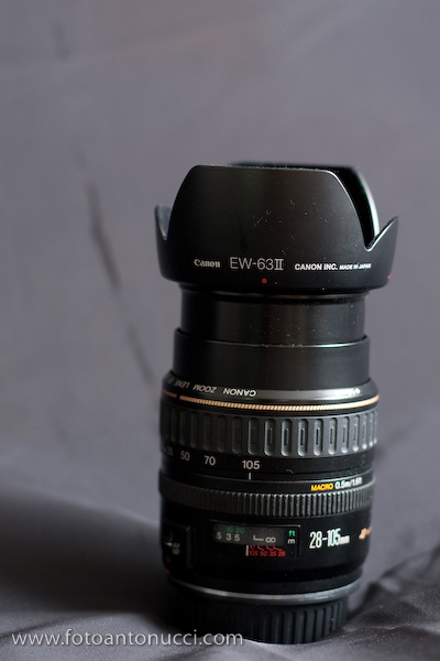 GP4R6151.jpg