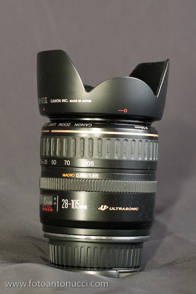 GP4R6157.jpg