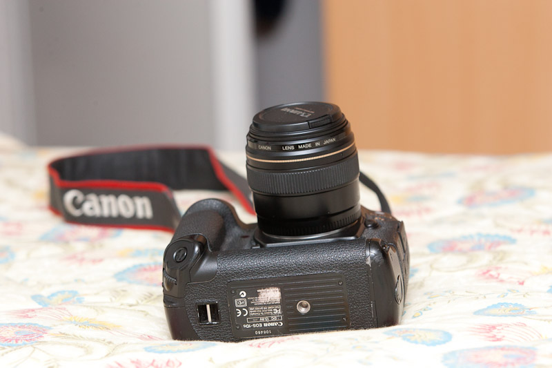 GP4R9748.jpg