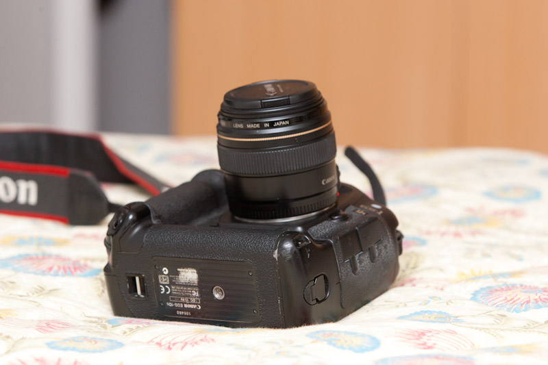GP4R9749.jpg