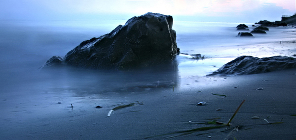 gradoscoglio3mini.jpg