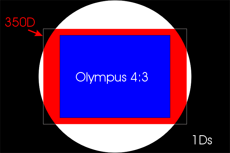 Grafica2.gif