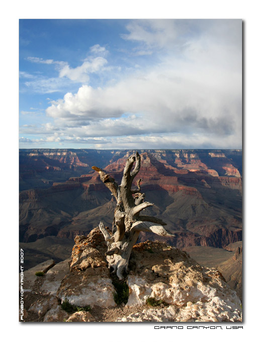 GrandCanyonUSa (5).jpg