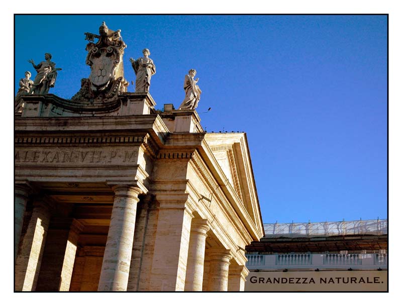 grandezza naturale...jpg