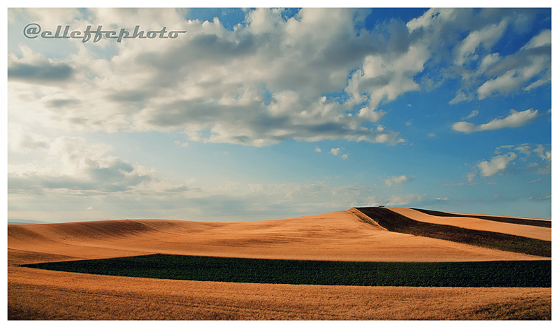 grano.jpg