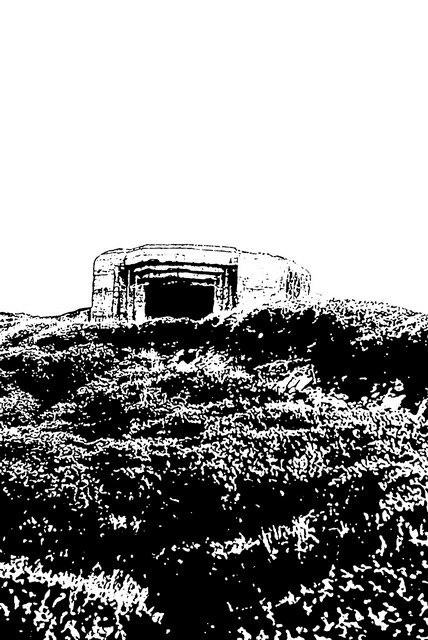 graphic_006.jpg