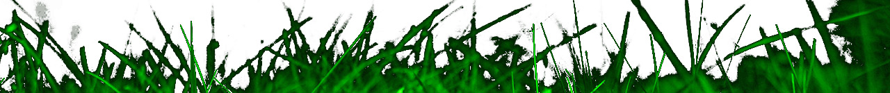 green2.jpg