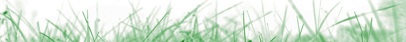 green.jpg