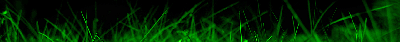 green_preview.gif