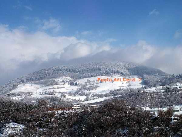 Greppi -051.JPG