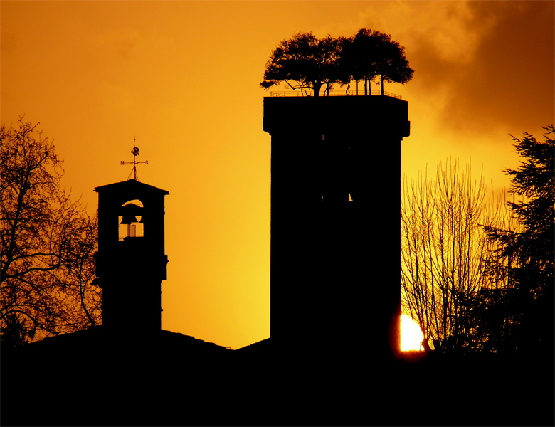 Guinigi3.jpg