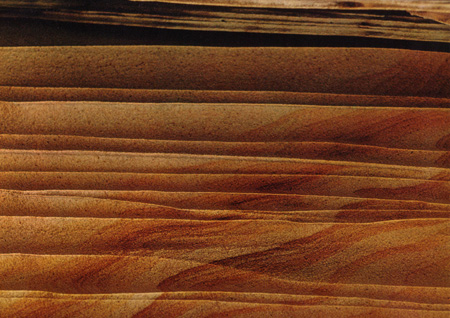 HAAS Scan1910080022.JPG