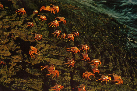 HAAS Scan1910080024.JPG