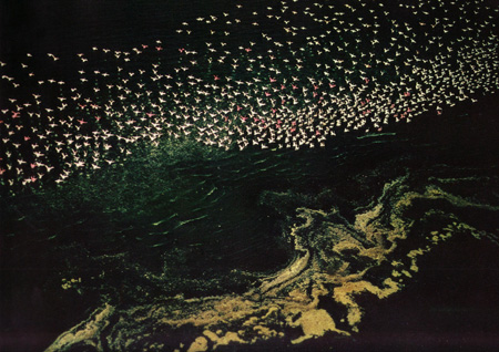 HAAS Scan1910080025.JPG