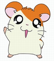 hamham.jpg