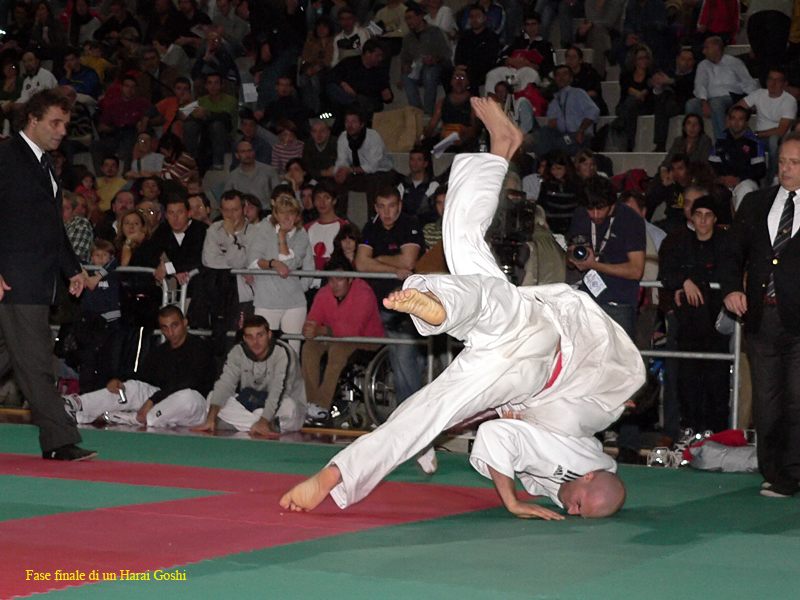 Harai Goshi.JPG