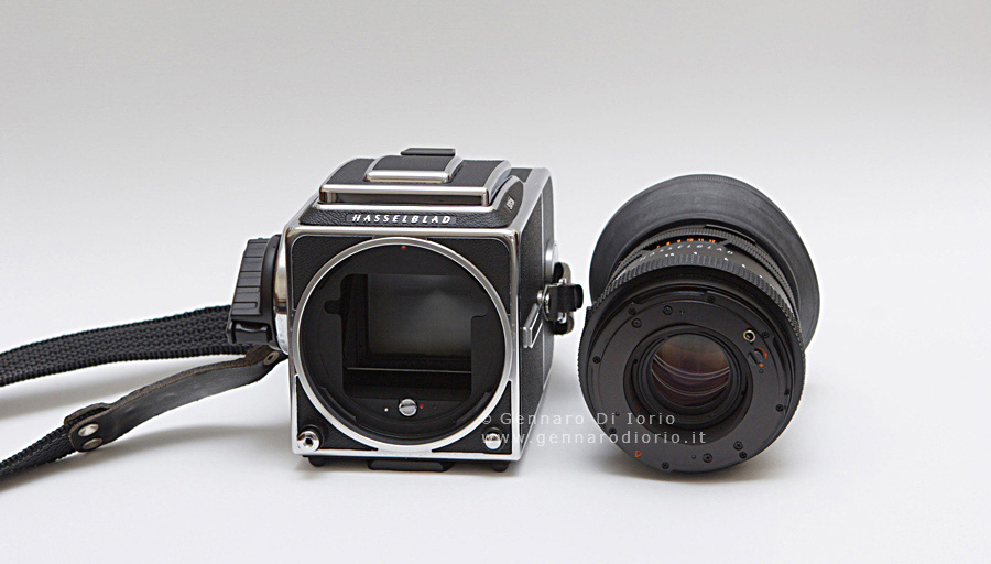 hassel_photo_4u_2.jpg