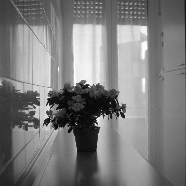 hassy_009 copia_web.jpg