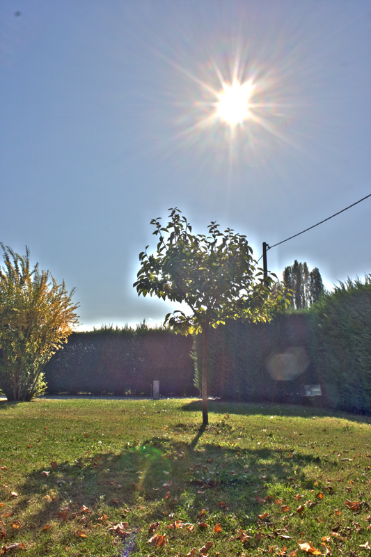 hdr1.jpg