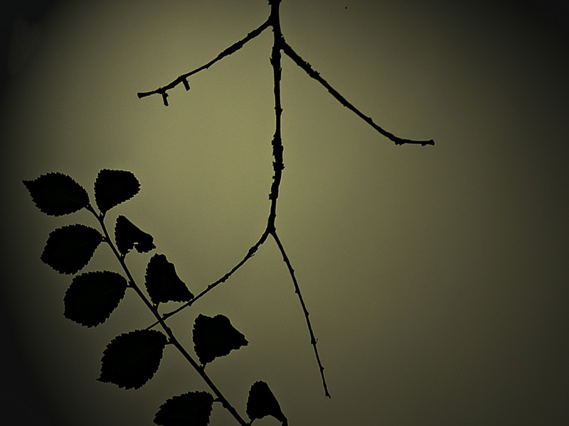 hhhhhhhhhhhhhh-013.jpg
