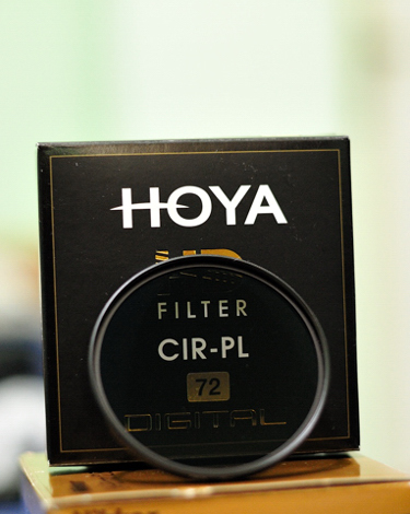 hoya1.jpg