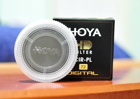 hoya2.jpg