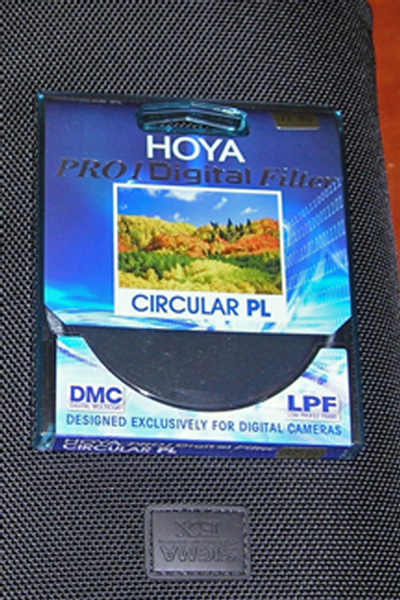 HOYA.jpg
