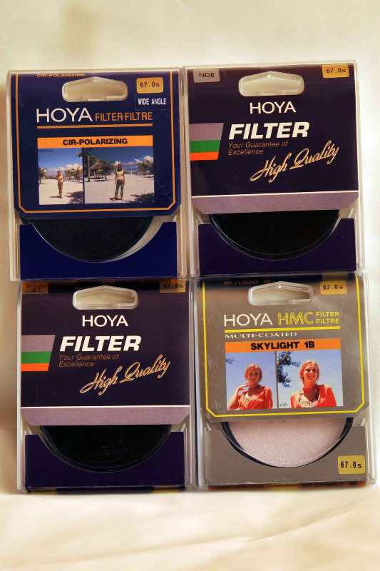 hoya_199.jpg