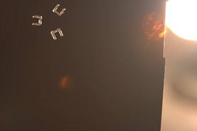 hoya.jpg
