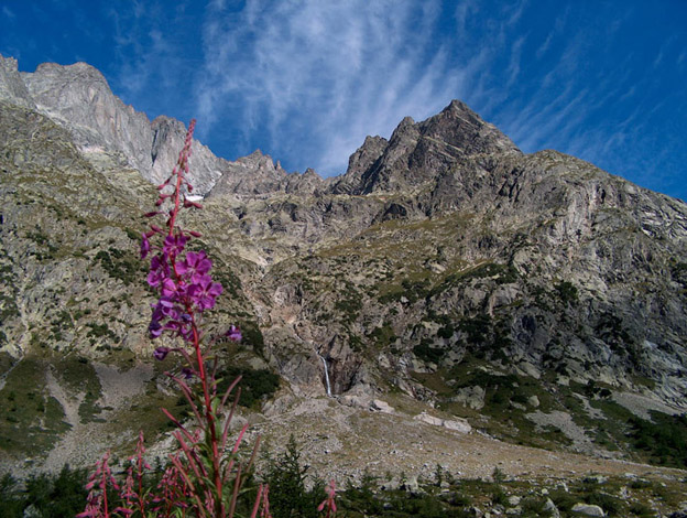 HPIM0395.jpg
