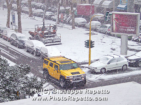 HUMMER_PICT0149.jpg