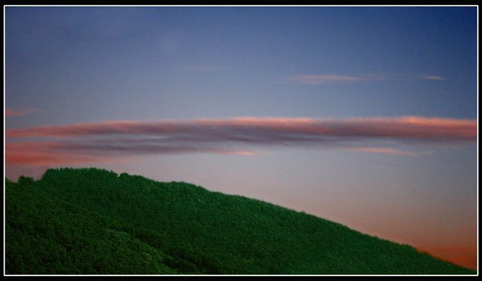 I Disegni Della Natura.jpg