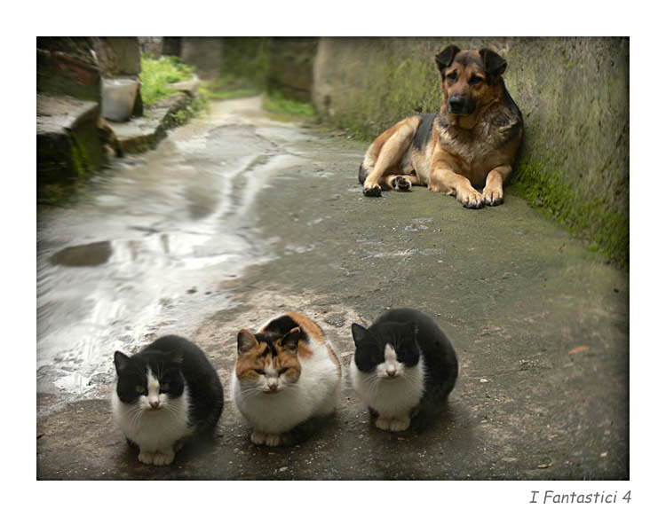 I Fantastici 4.jpg