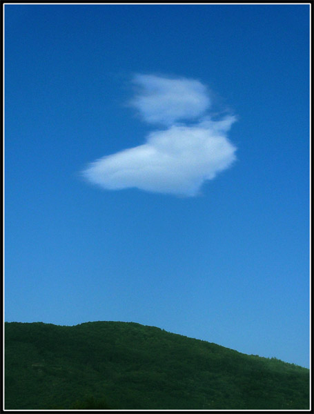 I Quadri Della Natura.jpg