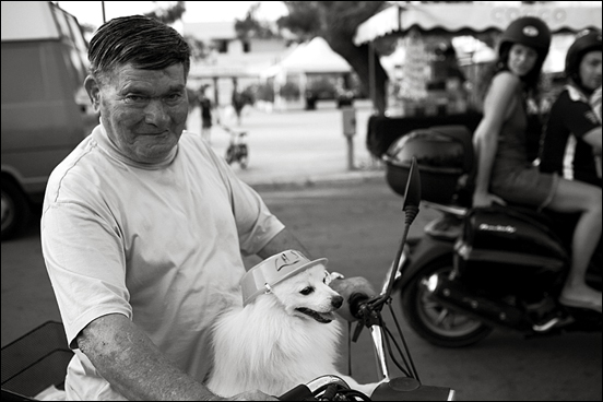 il-cane-pilota.jpg