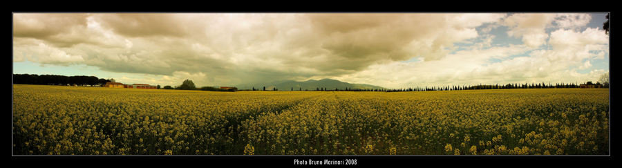 Il-ricordo-dei-primi-colori-di-primavera2.jpg
