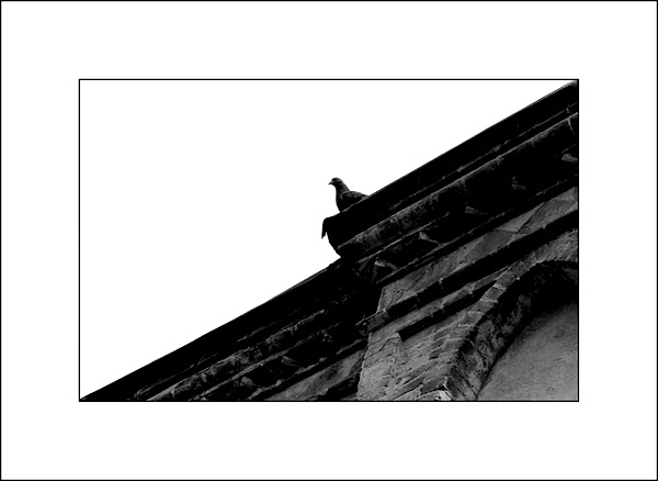il_bianco_e_il_nero_web.jpg