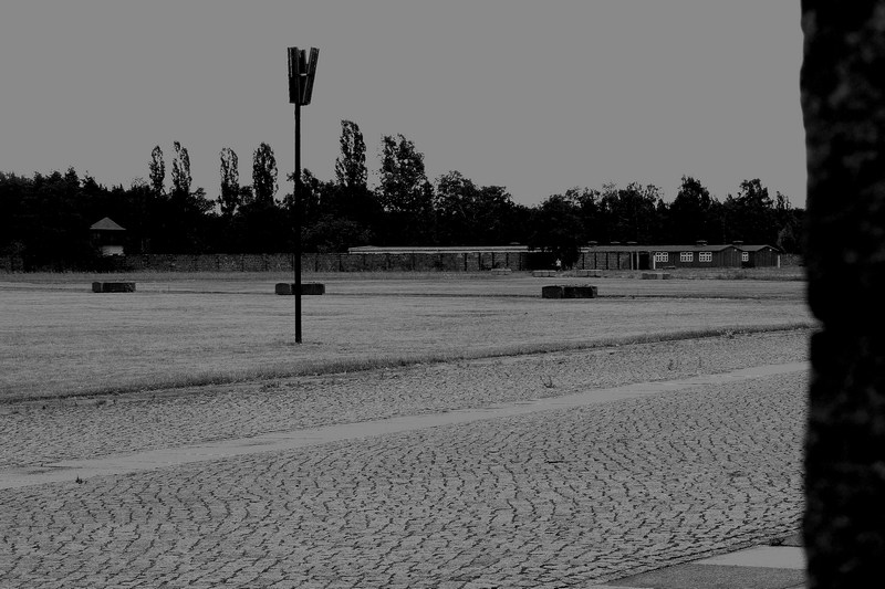 il campo immenso e desolato.jpg